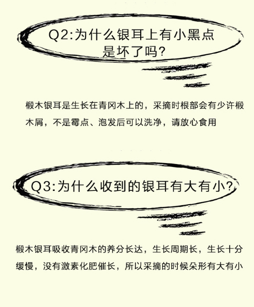 椴木小銀耳-自然野生-無熏硫磺-膠原多-100g包郵_05