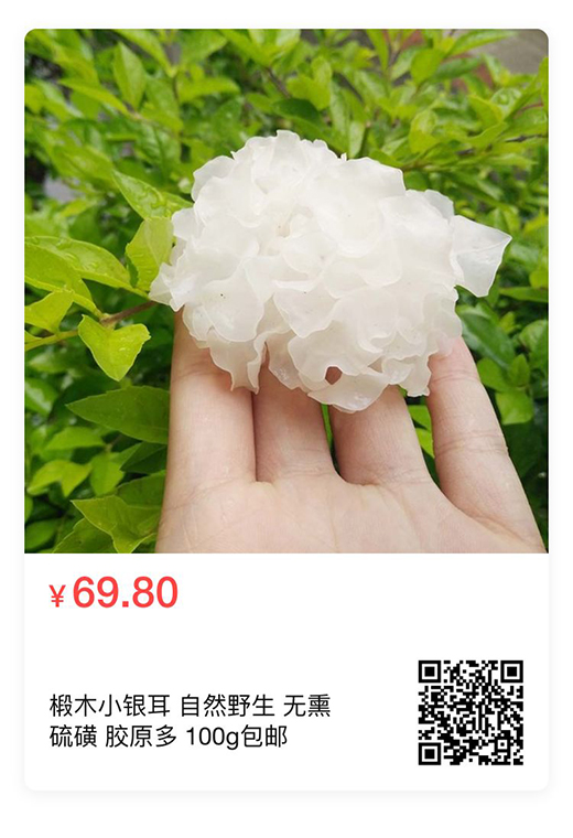 椴木小銀耳-自然野生-無熏硫磺-膠原多-100g包郵_01
